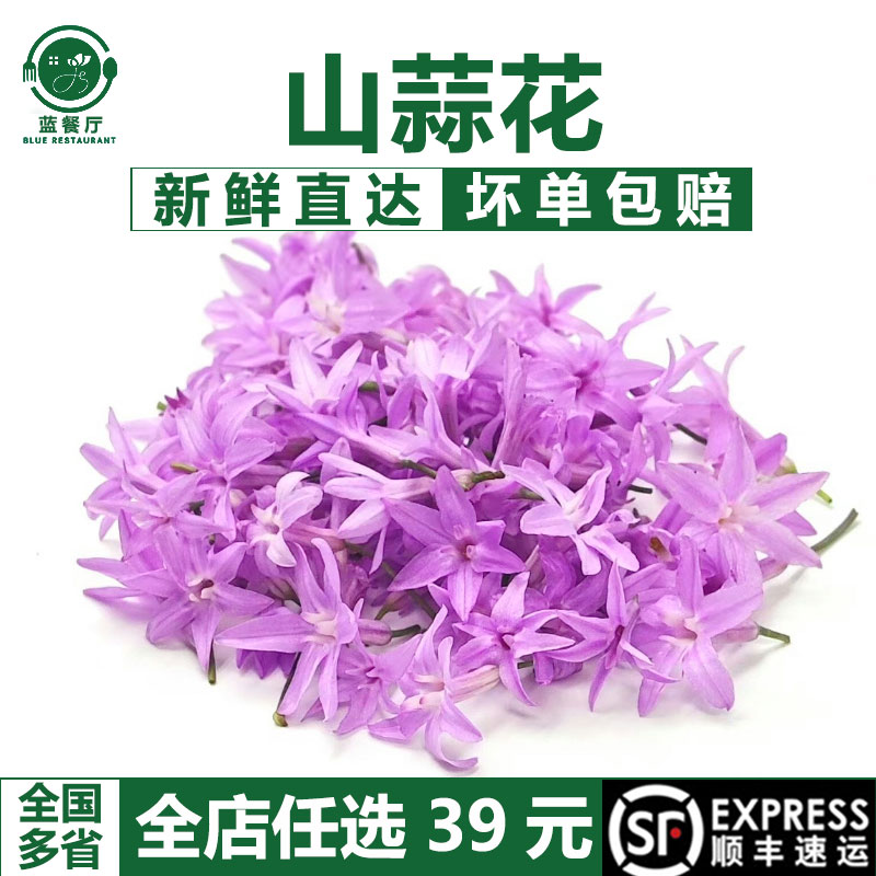 蓝餐厅新鲜摆盘花草多省39包邮