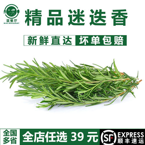 蓝餐厅新鲜迷迭香250g顺丰发货