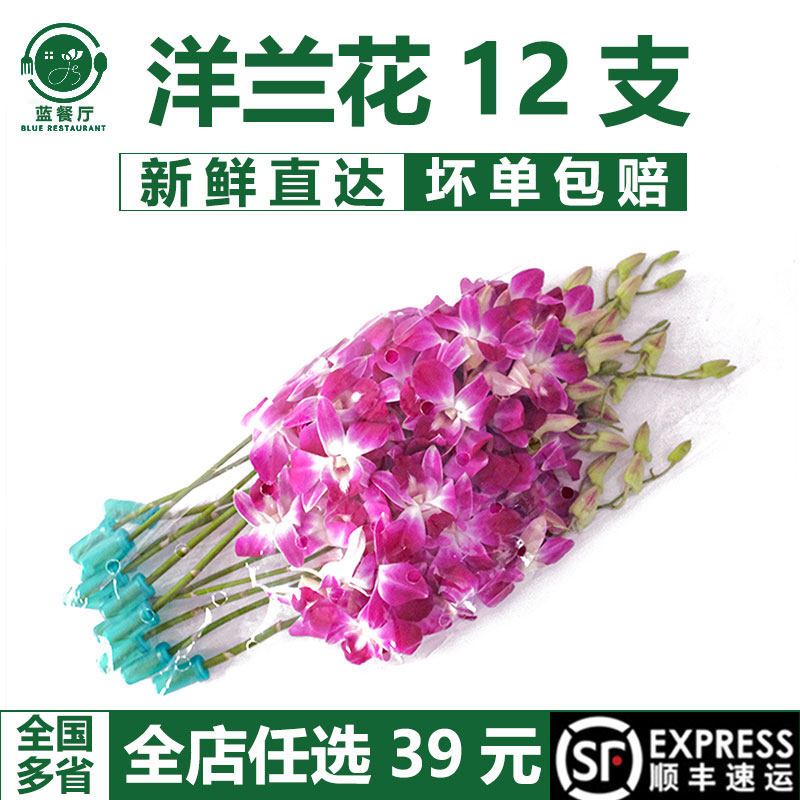 洋兰花 泰国进口兰花 餐厅装饰火锅日料配菜摆盘花 西餐厨师点缀