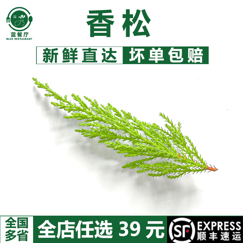 香松餐厅摆盘装饰花草拱北点缀