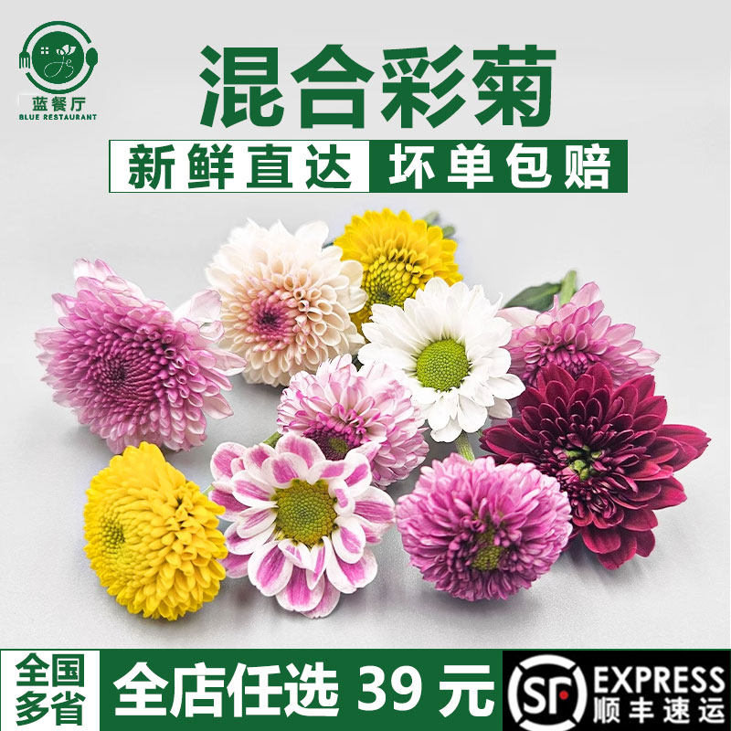 混色彩菊日料刺身拼盘造景装饰