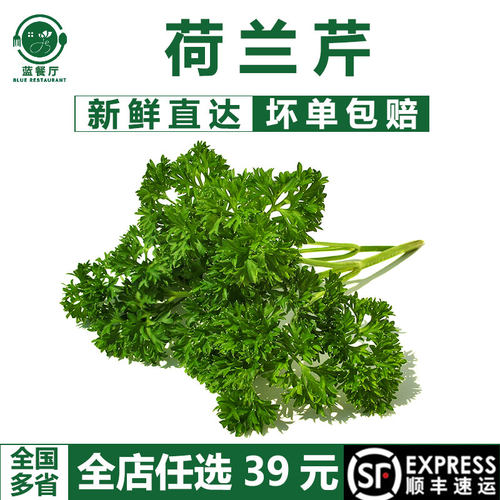 蓝餐厅荷兰芹冷菜摆盘装饰