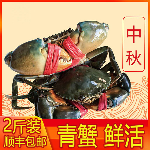 渔民大青蟹中秋佳节包邮顺丰