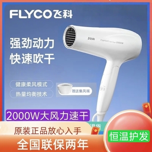 飞科吹风机家用大风力速干宿舍学生用冷热风护发便携电风筒FH6232