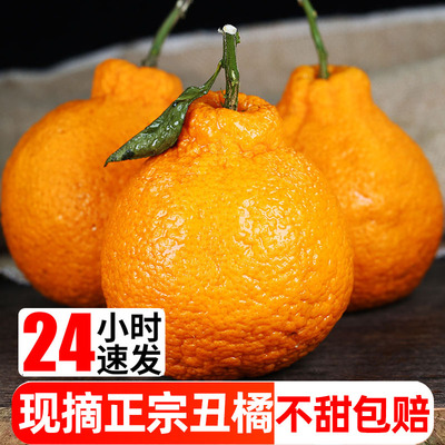 丑八怪丑橘新鲜耙耙柑橘子10斤蜜橘桔子当季时令应季水果整箱柑橘
