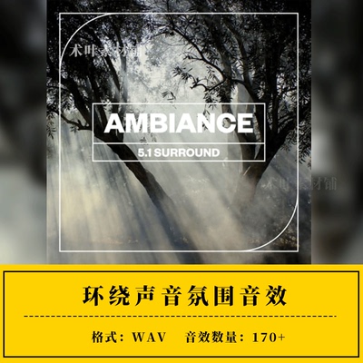 实录环境声音氛围音效ae/pr素材Ambience 5.1 Surround