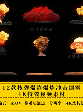 12款核弹爆炸爆炸冲击烟雾4K特效合成视频素材ae/pr视频素材
