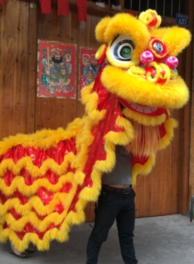 舞狮锣鼓道具醒狮狮头南狮佛山
