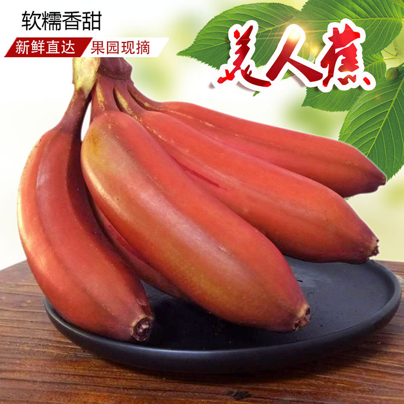 海南红美人香蕉新鲜水果咖啡蕉当香蕉