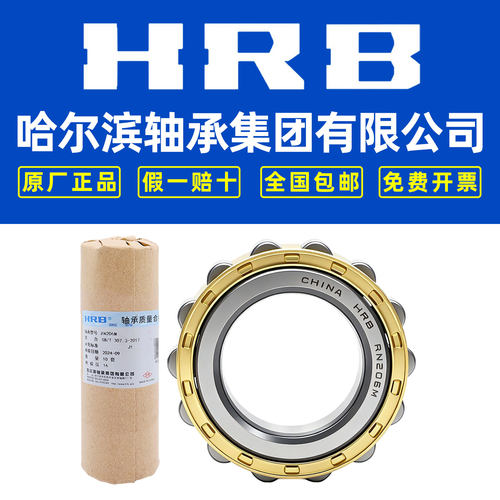 HRB哈尔滨轴承减速机RN304 305 306 307 308 309 310 312 313 319