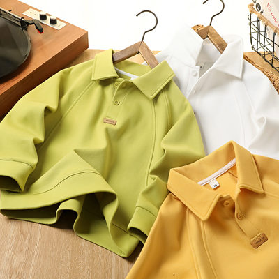 男童春秋棉质长袖POLO衫新款