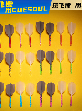 CUESOUL/Q獸ROST T19飞镖尾翼双色灰色镖叶耐用配件飞标一体尾巴