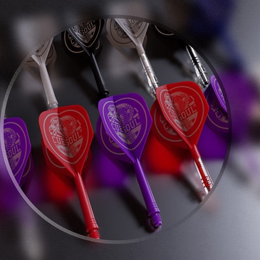 CUESOUL/Q獸专业定制镖叶镭射黑白图案一体飞镖镖翼尾翼私人订制