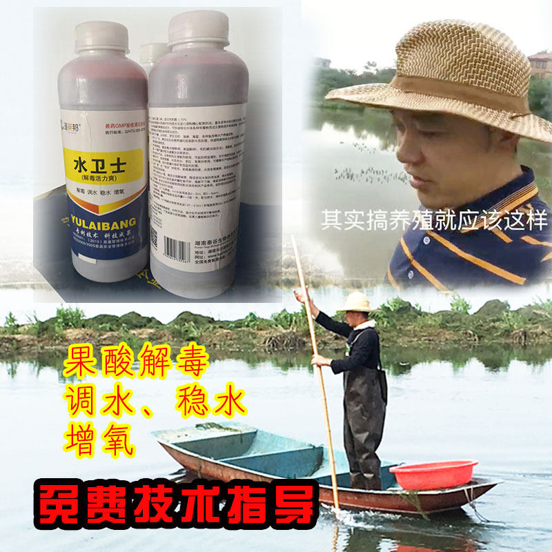 水卫士碧水安解毒剂有机酸解毒调水稳水增氧鱼虾蟹塘水产鱼药|ruв категории животноводства/аквакультура материалов, 动物保健品/水质调节剂, 水质调节剂 - от Buy2taobao.com для оказания профессиональной услуги покупки агента Taobao