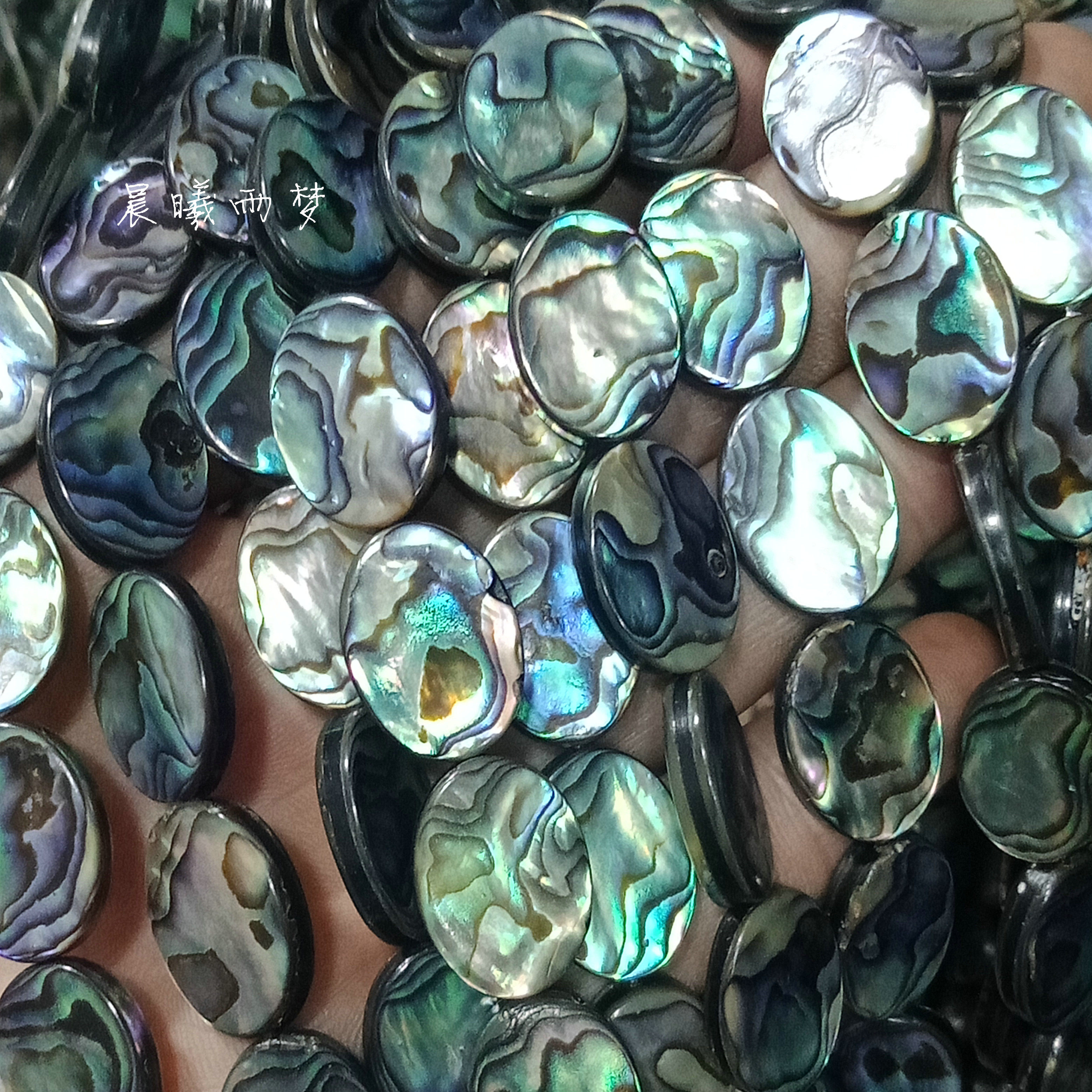 天然新西兰鲍鱼贝彩贝椭圆片 头饰耳饰发簪 diy贝壳手作配饰材料