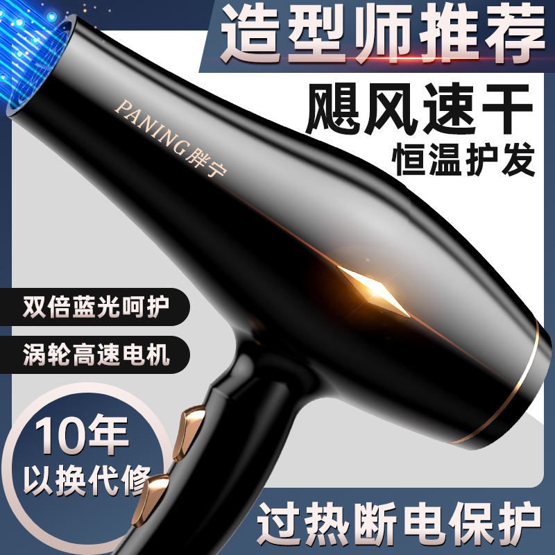 吹风机家用大风力负离子护发发廊理发店大功率两插冷热风筒不伤发