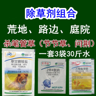 草甘膦2甲4氯钠庭院荒地路边杀节节草笔管草问荆灭草除草药除草剂