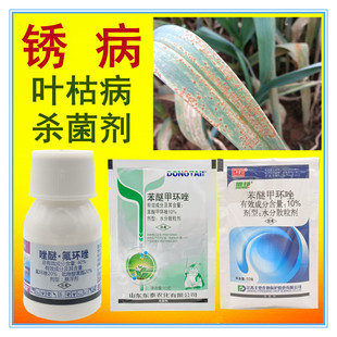 大蒜叶枯病锈病专用药大葱紫斑病黄疸红点铁锈病叶斑病杀菌剂正品