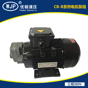 电动高压抽油泵 高粘度小流量齿轮泵 液压机油泵  树脂冷冻油油泵