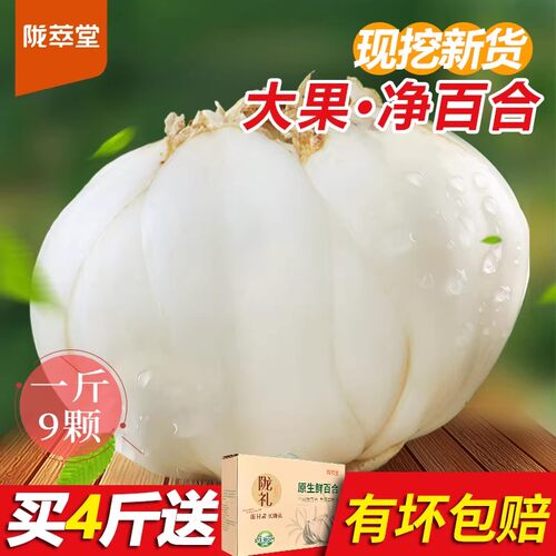 陇萃堂兰州百合三头500g特产农家