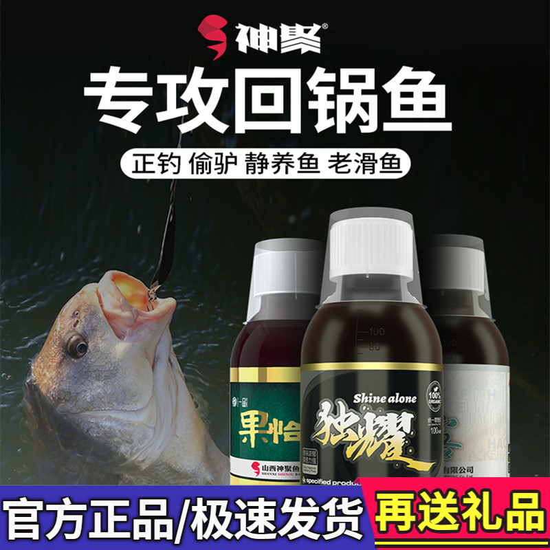 无限回锅鱼专用黑坑鲤鱼偷驴小药