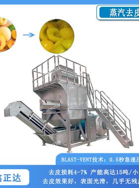 全自动黄桃蒸汽去皮机 温蒸汽脱皮设备 大型桃子去皮机