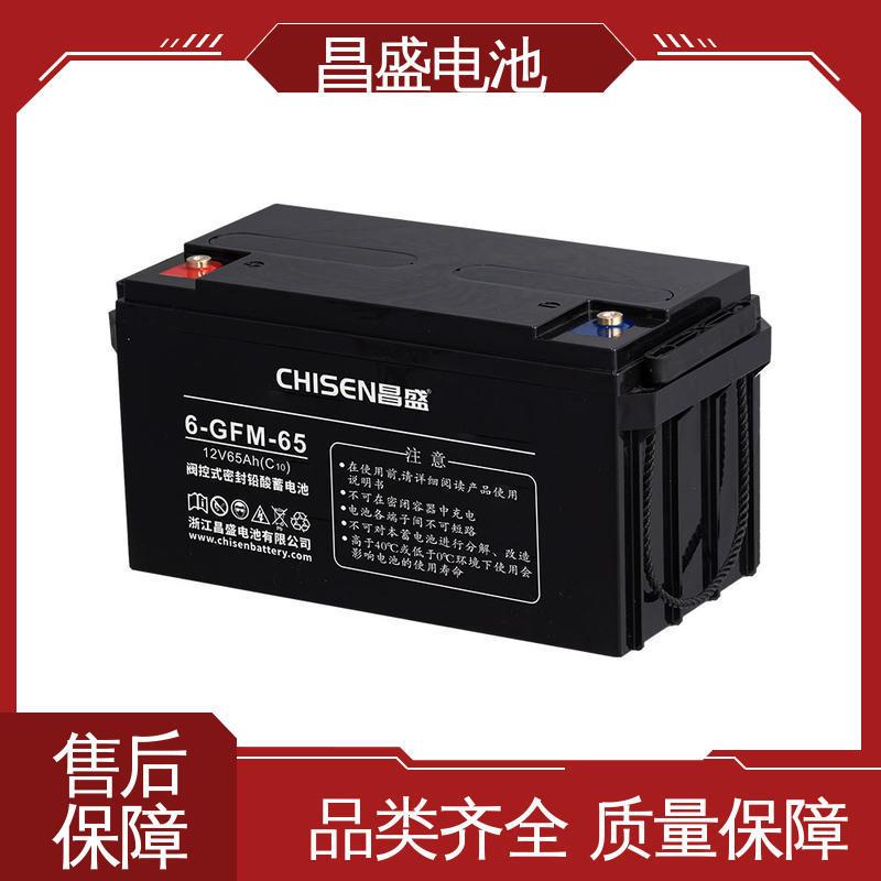 昌盛 6-GFM-65 ups不间断电源 电池 直流屏 配电柜 保质保量