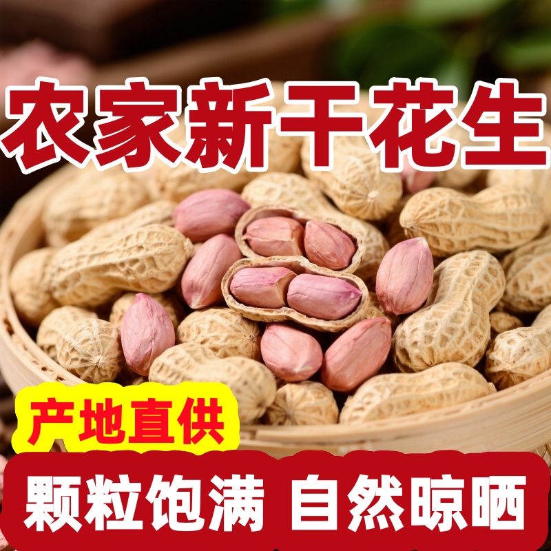 2025年干花生带壳新货生花生