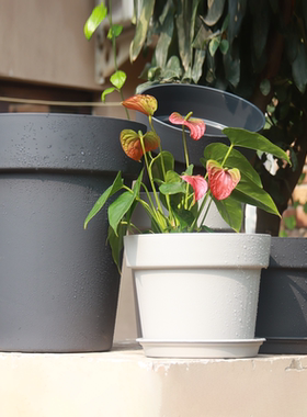 生长魔励家用塑料花盆树脂圆形种菜多肉种植盆栽月季玫瑰大花盆球