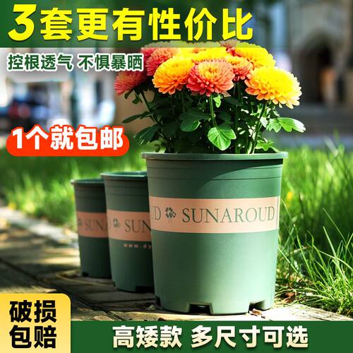 二代加仑月季清仓耐用包邮花盆