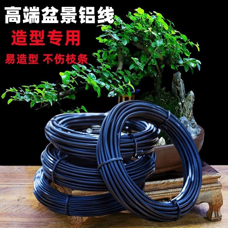 盆景造型专用铝丝铝线盘扎铝丝线蟠扎园艺铁丝花卉罗汉松定型吕丝,鲜花速递/花卉仿真/绿植园艺,其它园艺用品,淘宝优惠券,粉丝福利购,淘宝优惠卷