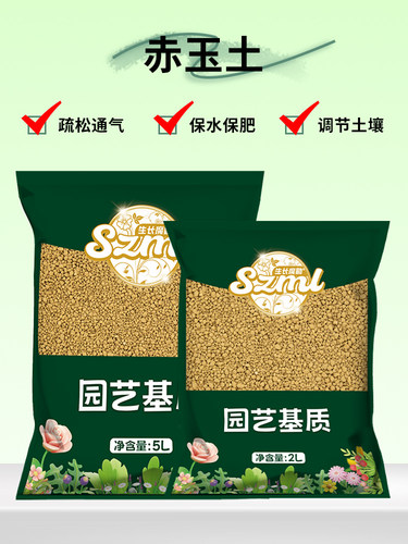 生长魔励赤玉土家园艺花卉多肉