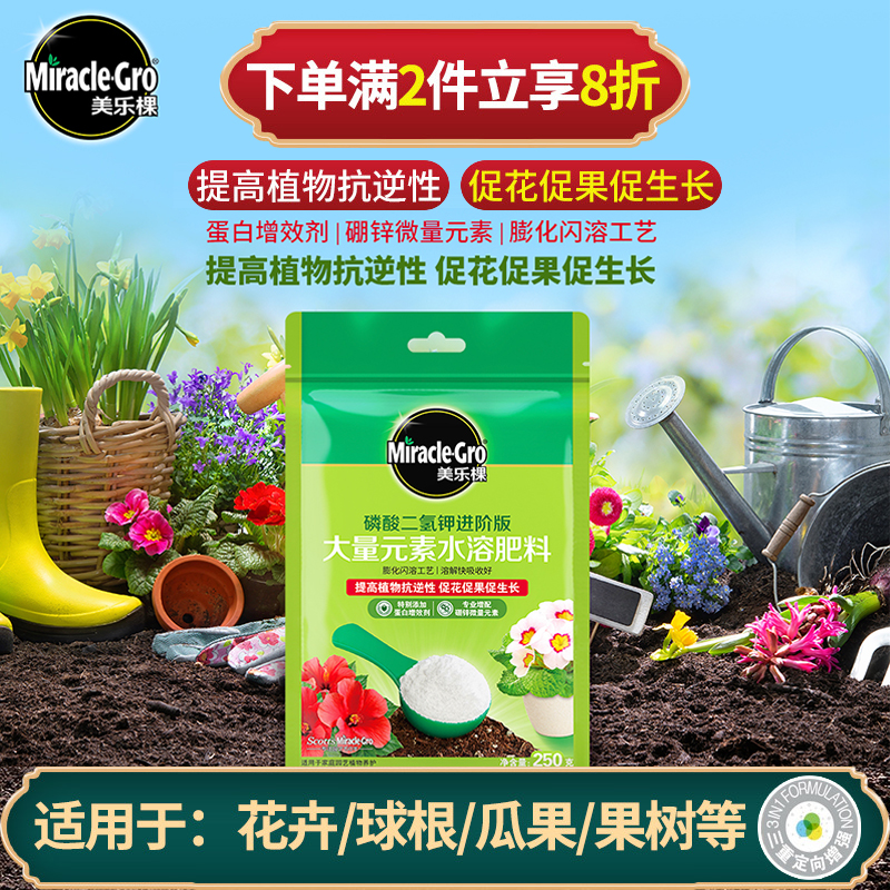 美乐棵磷酸二氢钾盆栽植物花卉