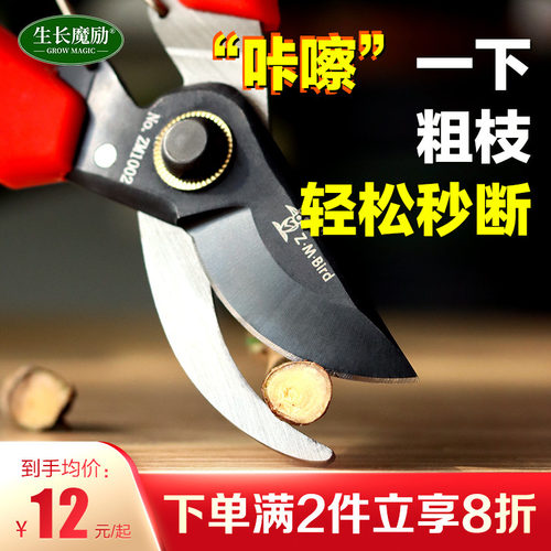园艺园林树枝剪刀工具家用修枝剪