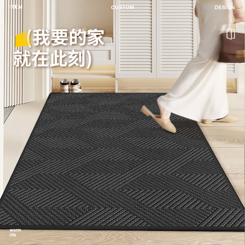 轻奢入户门地垫进门地垫玄关防滑地毯家用脚垫门外蹭土可裁剪门垫