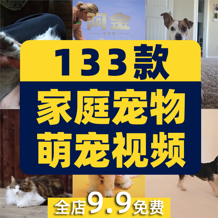 宠物萌宠猫咪狗狗治愈系可爱呆萌搞笑高清短视频素材抖音自媒体