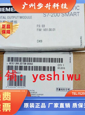 6ES7288 6ES7 288-2DT08-0AA0 EM DT08 2QT16 5DT04西门子SMART