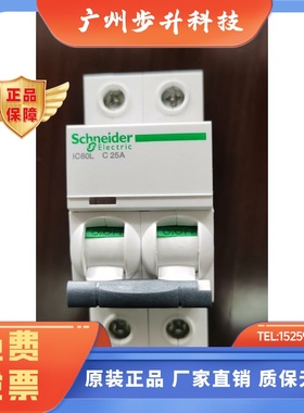 施耐德A9F94225  iC60L  2P25A，法国产