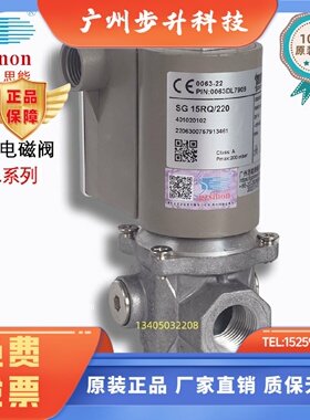 电磁阀 SG15RQ/220  SG20RQ/220 SG25RQ/220 50RQ/220 SG40RQ/220