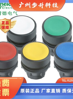 进口施耐德按钮头ZB5AA1 AA2 AA3 ZB5AA4 ZB5AA5 ZB5AA6 ZB5AH033