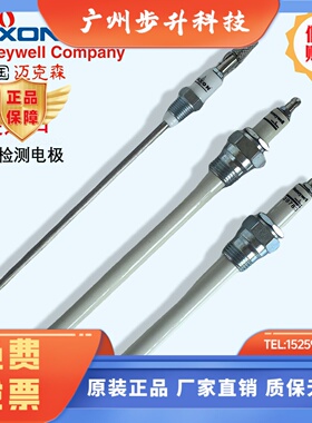 喷嘴电极 点火检测18117 39782 25663 1081870 18075 18110 27634