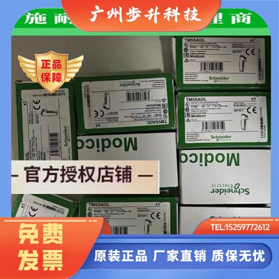 TM5SAI2H/TM5SAI2L施耐德全新原装正品2通道模拟量输入模块现货