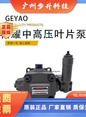 GEYAO格耀中压变量叶片油泵HVP30/40F3-A5R/A6R SVPV5-30/40-D-20