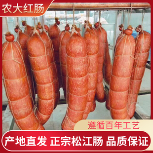 哈尔滨松江肠猪肉肠东北特产正宗农大红肠美食500g