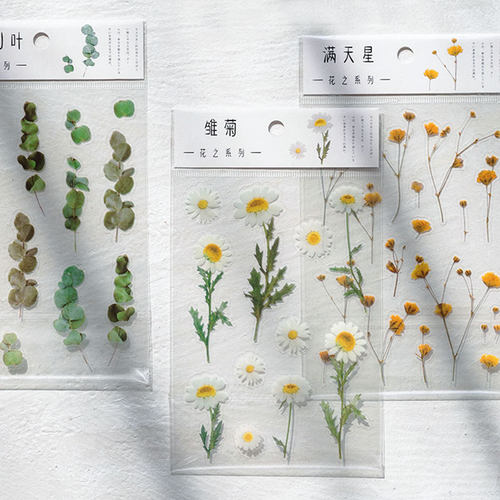 纸先生清新植物文具贴纸花之系列雏菊樱花小清新花卉装饰手帐素材
