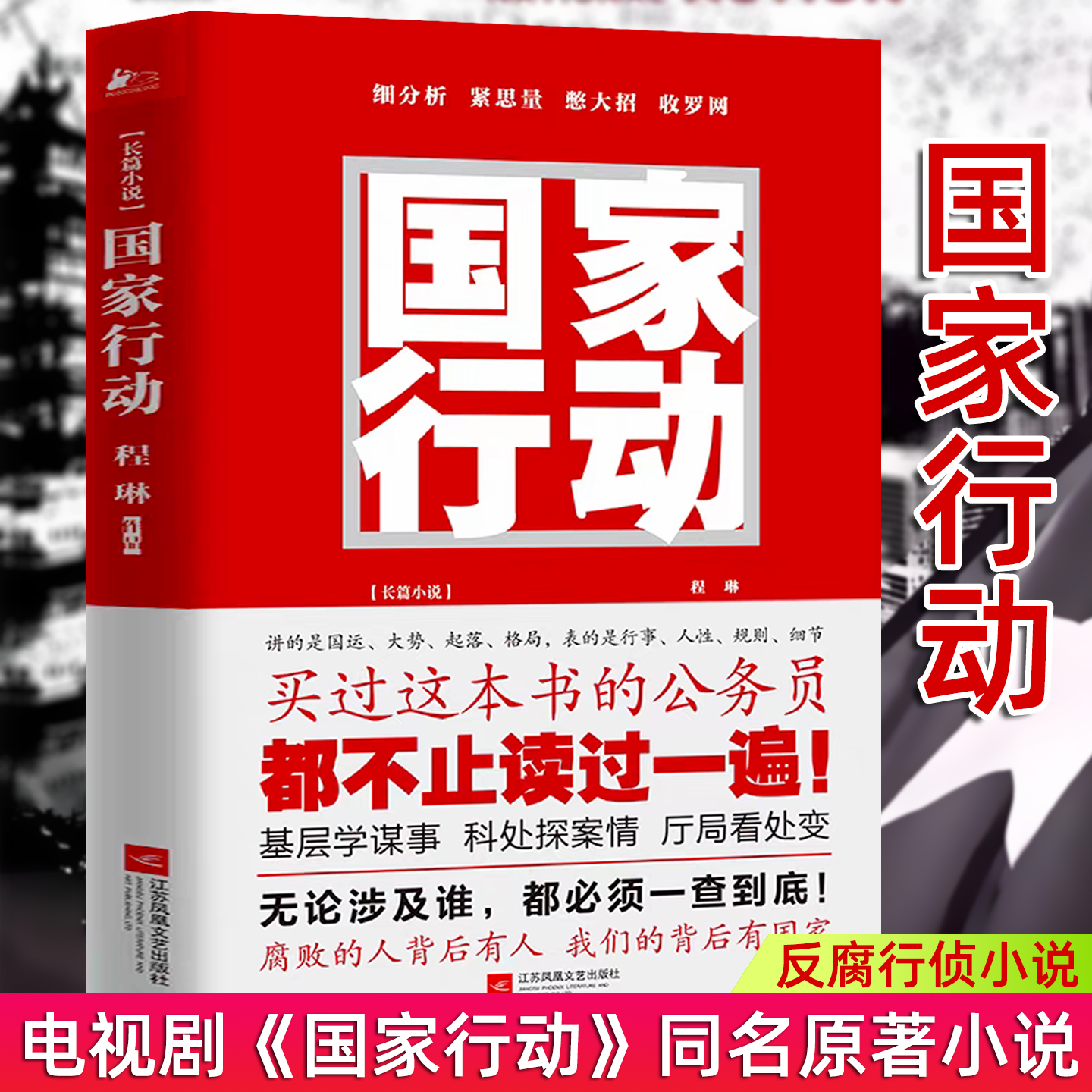 国家行动电视剧同名小说