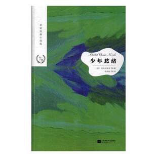 少年愁绪 短篇故事小说书籍用第一人称来侧述时代的悲哀