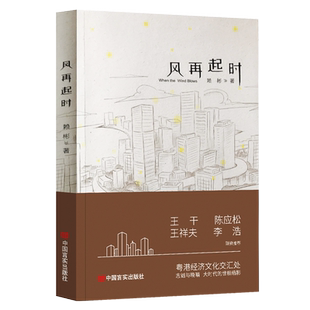 风再起时 赖彬著中国现当代文学爱情与时代叙事小说书籍中国言实出版社