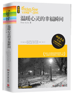 温暖心灵 心灵鸡汤系列心理励志英语学习书籍 幸福瞬间