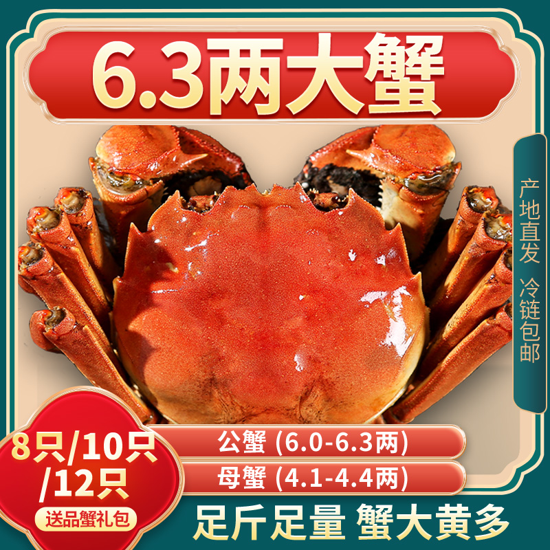 活蟹8/10/12只【特大公母蟹】